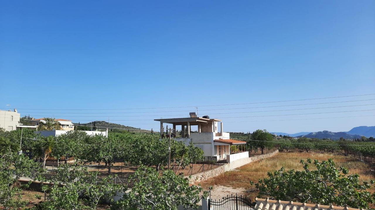 Aegina Mosxonas House 아파트 외부 사진